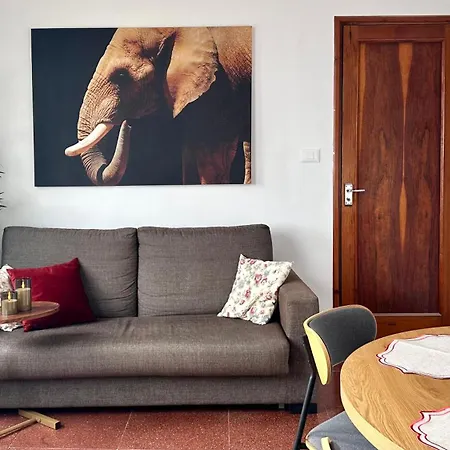 Casco Antiguo Apartamento